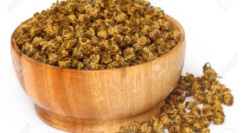 Spinach Seeds Market, Sales Strategy, Revenue Generation