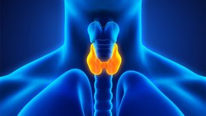 <span class="entry-title-primary">Thyroid Cancer Treatment Market Analysis, Size, Share, Growth, Trends and Forecast</span> <span class="entry-subtitle">Global Thyroid Cancer Treatment Market Report</span>