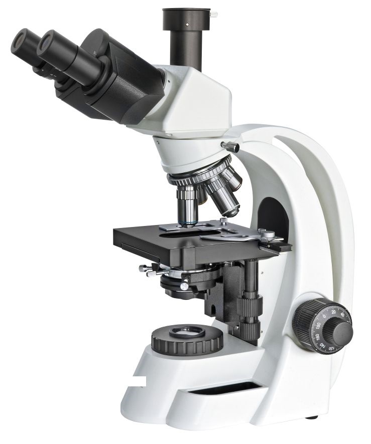 <span class="entry-title-primary">Trinocular Microscope Market 2024 Forecast Size, Share and Manufacturing Cost Analysis</span> <span class="entry-subtitle">Global Trinocular Microscope Market Report</span><span class="rating-result after_title mr-filter rating-result-43386">			<span class="no-rating-results-text">No ratings yet.</span>		</span>