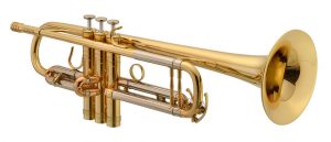 <span class="entry-title-primary">Trumpets Market Application, Trends, Growth and Worldwide Forecast to 2026</span> <span class="entry-subtitle">Global Trumpets Market Report</span>