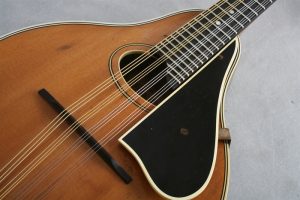 <span class="entry-title-primary">Twelve-string Mandolin Market Growth, Size, Analysis, Outlook by 2026</span> <span class="entry-subtitle">Global Twelve-string Mandolin Market Report</span>