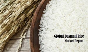 <span class="entry-title-primary">Basmati Rice Market by Top Companies, Sales, Demand, Consumption and Business Forecast by 2025</span> <span class="entry-subtitle">Global Basmati Rice Market Report</span>