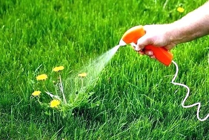 <span class="entry-title-primary">Global Bio-Herbicides Market: Analysis, Data, Information</span> <span class="entry-subtitle">Global Bio-Herbicides </span><span class="rating-result after_title mr-filter rating-result-47005">			<span class="no-rating-results-text">No ratings yet.</span>		</span>