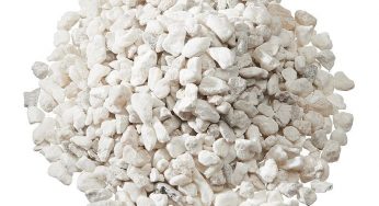 Global Boron Fertilizer Market size, country level shares, major