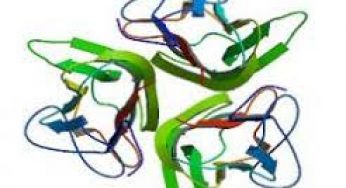CD40 Ligand Market Status and Forecast, by Players, Types and Applications