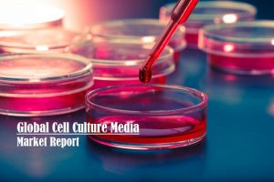 <span class="entry-title-primary">Cell Culture Media Market | Global Outlook and Growth by 2026</span> <span class="entry-subtitle">Global Cell Culture Media Market Report</span>