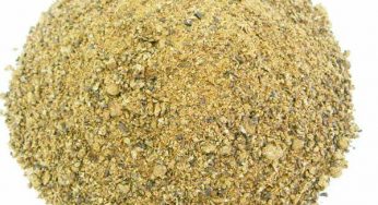 Global Cottonseed Protein Market Industry Analysis, Trends
