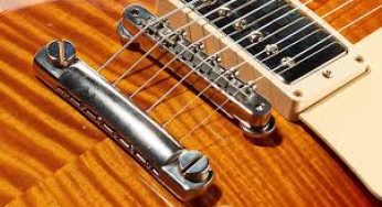 Guitar Bridges Market Trends and 2025 Forecast Report