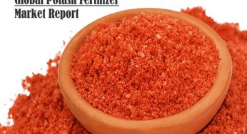 Potash Fertilizer Market Size, Share and Analysis | Forecast Report by 2026