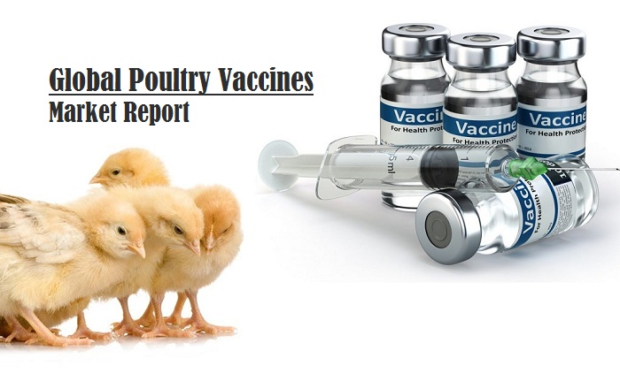 <span class="entry-title-primary">Poultry Vaccine Market Size, Share, Demand, Growth, Trend and Forecast by 2023</span> <span class="entry-subtitle">Global Poultry Vaccine Market Report</span><span class="rating-result after_title mr-filter rating-result-46151">			<span class="no-rating-results-text">No ratings yet.</span>		</span>