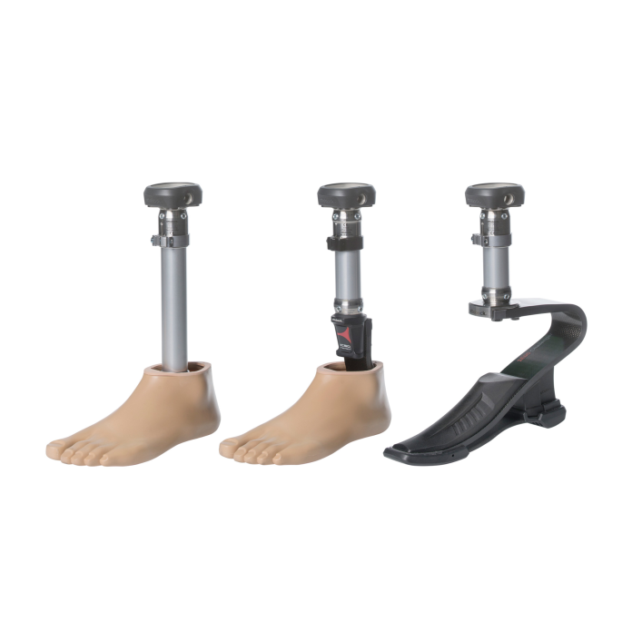 <span class="entry-title-primary">Prosthetic Foot Market Segmentation, Demand, Growth, Trend</span> <span class="entry-subtitle">Global Prosthetic Foot Market Report</span><span class="rating-result after_title mr-filter rating-result-45892">			<span class="no-rating-results-text">No ratings yet.</span>		</span>