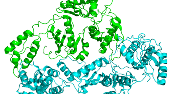 Reverse Transcriptase Market Analysis and Market Forecast – 2025