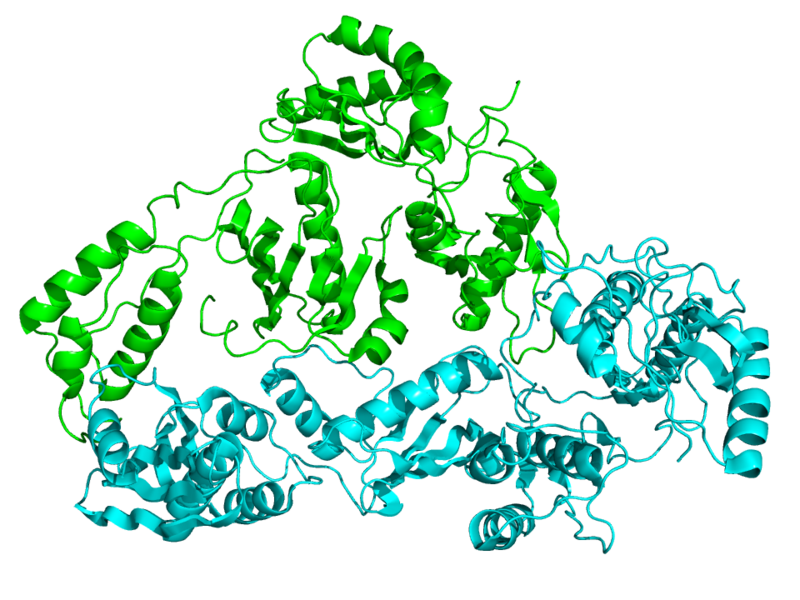 <span class="entry-title-primary">Reverse Transcriptase Market Analysis and Market Forecast – 2025</span> <span class="entry-subtitle">Global Reverse Transcriptase Market Report</span><span class="rating-result after_title mr-filter rating-result-45446">			<span class="no-rating-results-text">No ratings yet.</span>		</span>