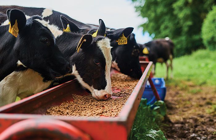 <span class="entry-title-primary">Global Ruminant Feeds Market Revenue by Manufacturers, Production</span> <span class="entry-subtitle">Global Ruminant Feeds  Market</span><span class="rating-result after_title mr-filter rating-result-46985">			<span class="no-rating-results-text">No ratings yet.</span>		</span>