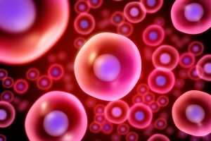 <span class="entry-title-primary">Stem cells Market Share, Global Trend, Industry News, Business Growth</span> <span class="entry-subtitle">Global Stem cells Market Report</span>