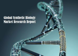 <span class="entry-title-primary">Synthetic Biology Market Size, Share, Growth, Demand and Forecast by 2025</span> <span class="entry-subtitle">Global Synthetic Biology Market Report</span>