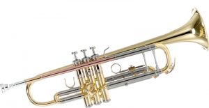 <span class="entry-title-primary">Trumpets Market Trend, Segmentation and Forecast to 2020-2025</span> <span class="entry-subtitle">Global Trumpets Market Report</span>