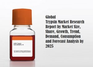 <span class="entry-title-primary">Trypsin Market Size, Share and Analysis | Forecast Report by 2025</span> <span class="entry-subtitle">Global Trypsin Market Report</span>