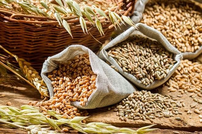 <span class="entry-title-primary">Wheat Seeds Market Revenue by Manufacturers, Production</span> <span class="entry-subtitle">Wheat Seeds Market - Trend, Segmentation</span><span class="rating-result after_title mr-filter rating-result-45398">			<span class="no-rating-results-text">No ratings yet.</span>		</span>