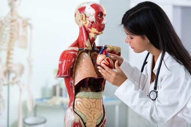 <span class="entry-title-primary">Anatomical Models Market Demand, Insights, Analysis, Opportunities, Growth Potential and Forecast</span> <span class="entry-subtitle">Global Anatomical Models Market Report</span><span class="rating-result after_title mr-filter rating-result-47895">			<span class="no-rating-results-text">No ratings yet.</span>		</span>