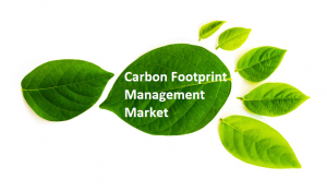 <span class="entry-title-primary">Global Carbon Footprint Management Market Projected to Reach $$ Million USD by 2024</span> <span class="entry-subtitle">Carbon Footprint Management Market Insights 2019, Global and Chinese Analysis and Forecast to 2024</span>