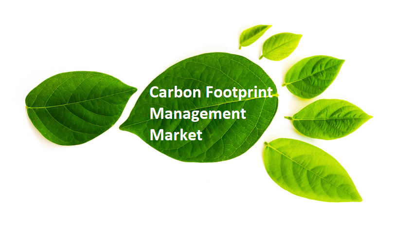 <span class="entry-title-primary">Global Carbon Footprint Management Market Projected to Reach $$ Million USD by 2024</span> <span class="entry-subtitle">Carbon Footprint Management Market Insights 2019, Global and Chinese Analysis and Forecast to 2024</span><span class="rating-result after_title mr-filter rating-result-48636">			<span class="no-rating-results-text">No ratings yet.</span>		</span>