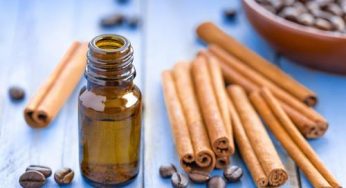 Cassia Oil (CAS 8007-80-5) Market Application, Trends, Growth, Opportunities