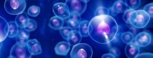 <span class="entry-title-primary">Cell Therapy Market Regions, Types, Applications, Status</span> <span class="entry-subtitle">Global Cell Therapy Market Report</span>