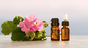 <span class="entry-title-primary">Global Geranium Oil (CAS 8000-46-2)  Market Growth Rate, Demands, Status and Application</span> <span class="entry-subtitle">Geranium Oil (CAS 8000-46-2) Market Report 2020</span>