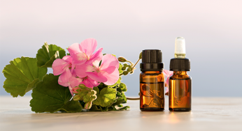 Global Geranium Oil (CAS 8000-46-2) Market Growth Rate, Demands, Status and Application