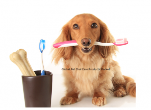 <span class="entry-title-primary">Global Pet Oral Care Products Market Size, Share, Trends Forecast to 2025</span> <span class="entry-subtitle">Global Pet Oral Care Products Market Research (2015-2019) and Future Forecast (2020-2025)</span>