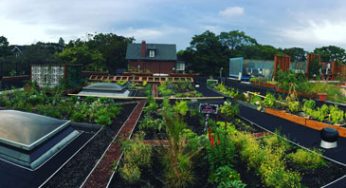 Global Green-Roof Market Revenue by Manufacturers, Production
