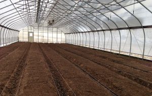 <span class="entry-title-primary">Global Greenhouse Soil Market, Sales Strategy, Revenue Generation</span> <span class="entry-subtitle">Global Greenhouse Soil </span>