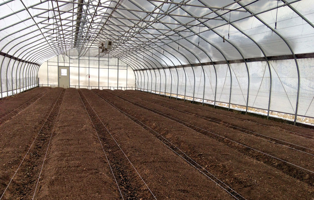 <span class="entry-title-primary">Global Greenhouse Soil Market, Sales Strategy, Revenue Generation</span> <span class="entry-subtitle">Global Greenhouse Soil </span><span class="rating-result after_title mr-filter rating-result-48277">			<span class="no-rating-results-text">No ratings yet.</span>		</span>