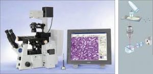 <span class="entry-title-primary">Immunofluorescence Laser Capture Microdissection Equipment Market Trends and Forecast to 2025</span> <span class="entry-subtitle">Immunofluorescence Laser Capture Microdissection Equipment Market</span>