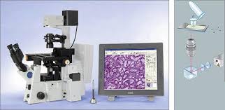 <span class="entry-title-primary">Immunofluorescence Laser Capture Microdissection Equipment Market Trends and Forecast to 2025</span> <span class="entry-subtitle">Immunofluorescence Laser Capture Microdissection Equipment Market</span><span class="rating-result after_title mr-filter rating-result-47578">			<span class="no-rating-results-text">No ratings yet.</span>		</span>