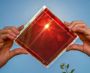 <span class="entry-title-primary">Global Perovskite Solar Cell Market Revenue by Manufacturers</span> <span class="entry-subtitle">Global Perovskite Solar Cell </span>