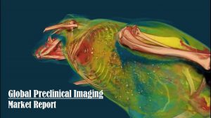 <span class="entry-title-primary">Preclinical Imaging Market by Modalities, Top Companies, Demand, Growth and Forecast by 2024</span> <span class="entry-subtitle">Global Preclinical Imaging Market CAGR to Reach 6% by 2024</span>