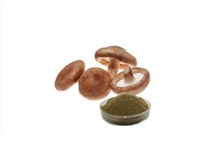 <span class="entry-title-primary">Shiitake Extract Market Research Industry Analysis, Growth</span> <span class="entry-subtitle">Global Shiitake Extract Market Report</span>