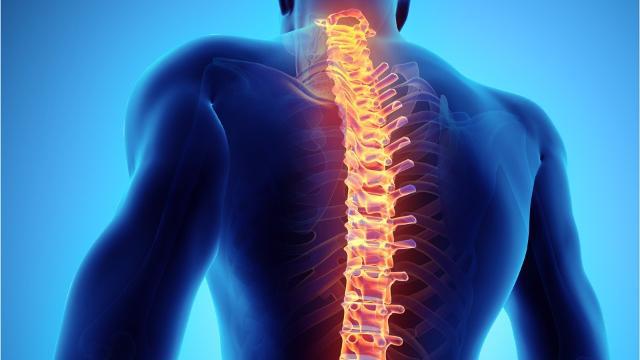 <span class="entry-title-primary">Spinal Trauma Devices Market Size and Share: Industry Forecast</span> <span class="entry-subtitle">Global Spinal Trauma Devices Market Report</span><span class="rating-result after_title mr-filter rating-result-47352">			<span class="no-rating-results-text">No ratings yet.</span>		</span>