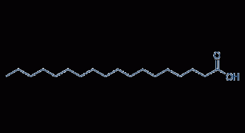 Stearic Acid Market Share, Application Analysis, Regional Outlook