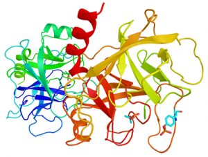 <span class="entry-title-primary">Trypsin Market Size, Status, Analysis and Forecast</span> <span class="entry-subtitle">Global Trypsin Market Report</span>