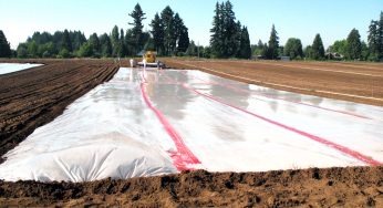 Global Soil Fumigant Market By Service, Polymer Type